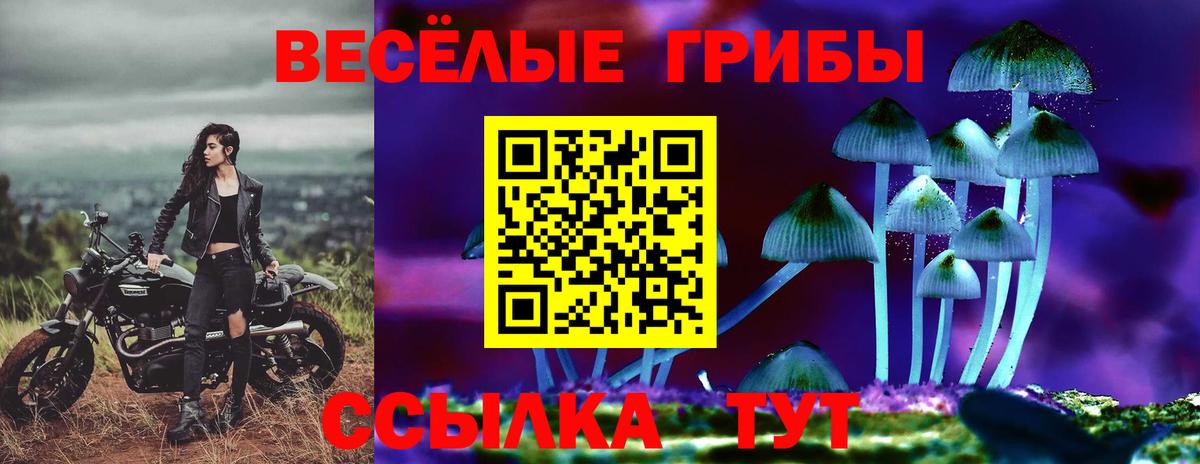 Галлюциногенные грибы Psilocybe Санкт-Петербург