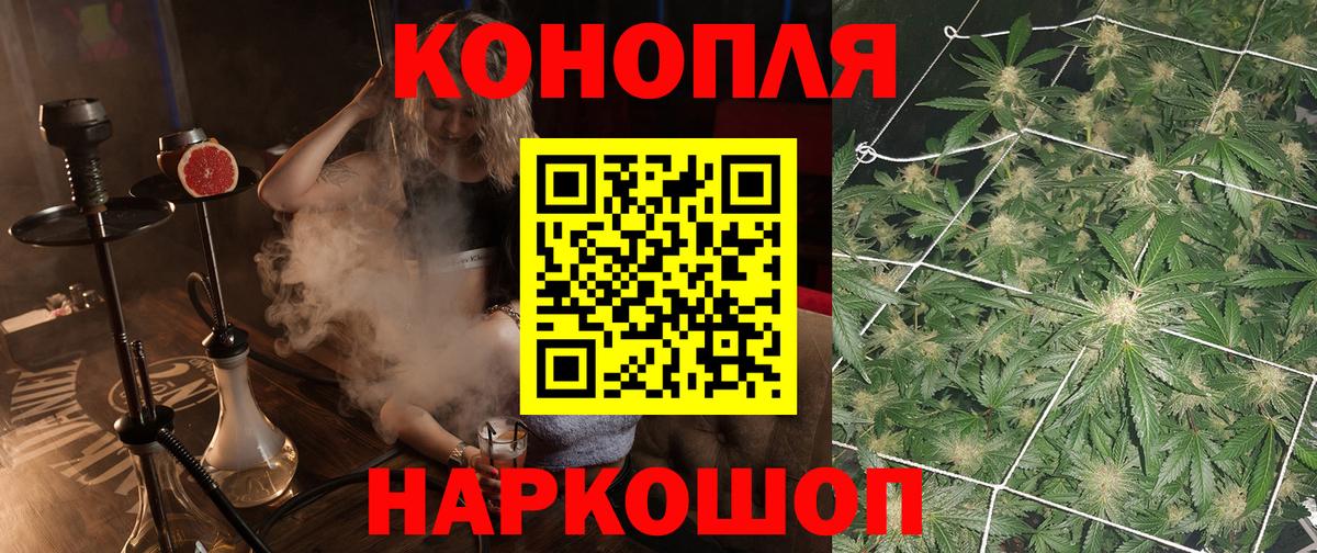 Марихуана Bruce Banner  Бошки марихуана ГИДРОПОН  Санкт-Петербург  Вход с VPN 